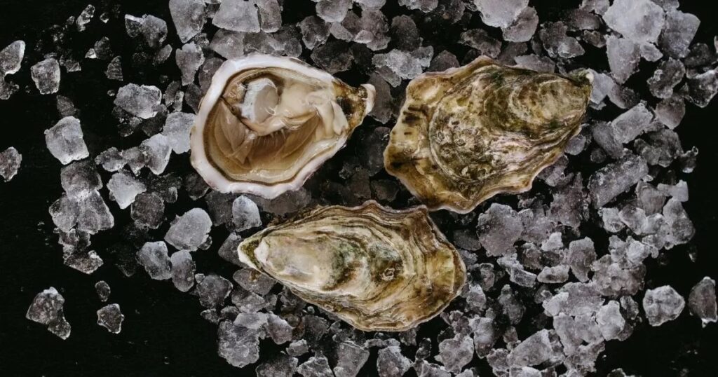 Serata Ostriche e Bollicine al Ristorante di Hotel Villa Carona. Degustazione dei sapori del mare. 