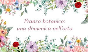 Scopri di più sull'articolo Pranzo Botanico, una domenica nell’Orto: il viaggio gastronomico impreziosito dalle erbe spontanee di montagna